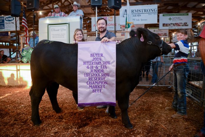 Butler County Fair Reserve Champion Steer Butler County Fair Reserve Champion Steer
