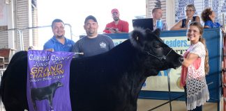 2019 Carroll County Fair Sale Grand Champion Steer