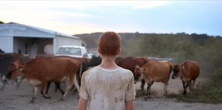 farmsteaders
