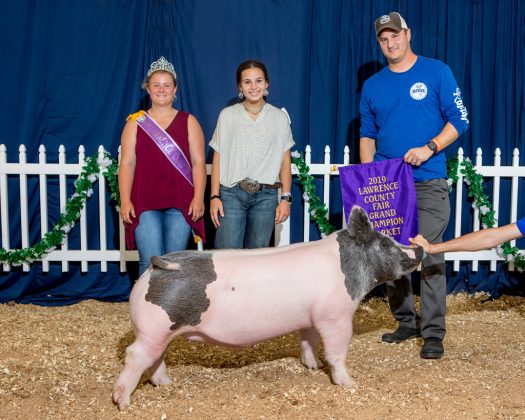 Lawrence County Fair Grand Champion Hog