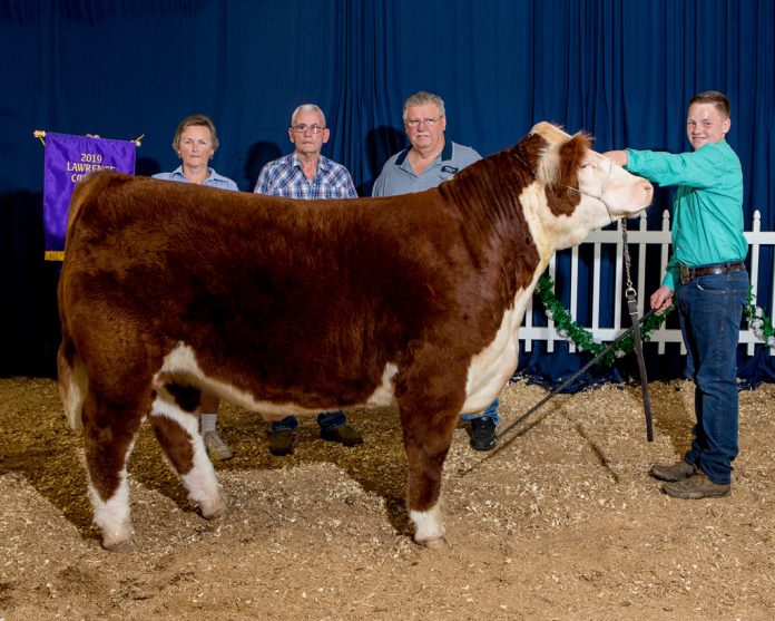 Lawrence County Fair Grand Champion Steer Lawrence County Fair Grand Champion Steer