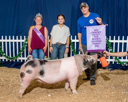 Lawrence County Fair Reserve Champion Hog