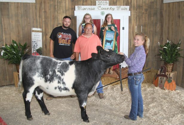 Monroe County Fair Reserve Champion Feeder Heifer