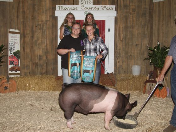 Monroe County Fair Reserve Champion Hog