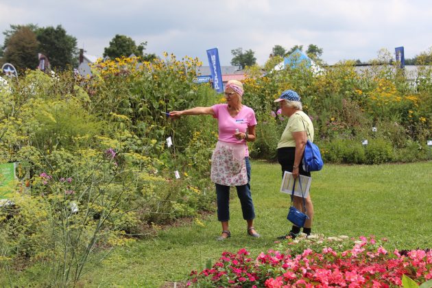 women-look-at-garden