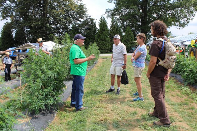people-talk-about-hemp