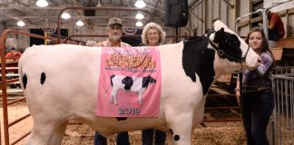 2019 Carroll County Fair Sale Reserve Champion Dairy Market Steer