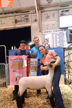 2019 Carroll County Fair Sale Reserve Champion Lamb