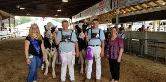 Columbiana County Dairy Show