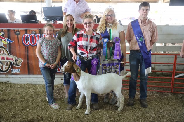 2019 Columbiana County Fair Grand Champion Boar Goat