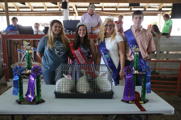 2019 Columbiana County Fair Grand Champion Rabbits