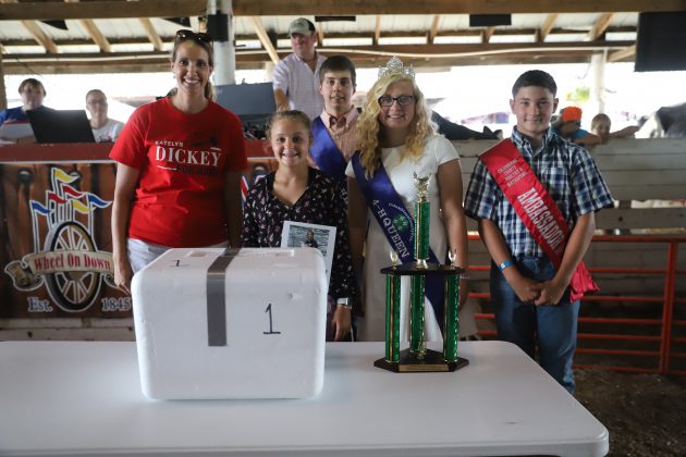 2019 Columbiana County Fair Reserve Champion Chickens