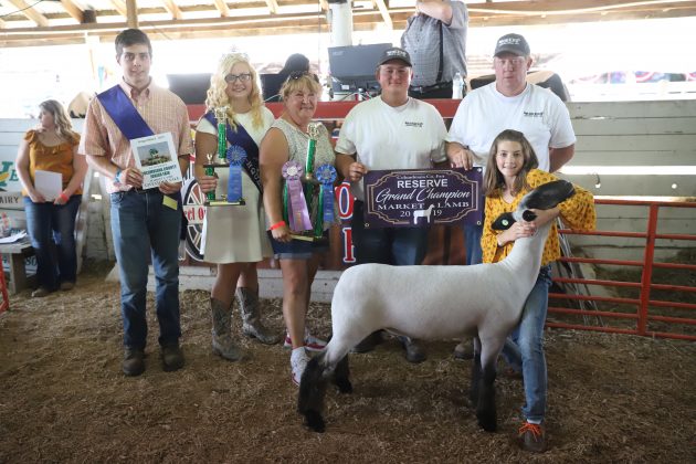2019 Columbiana County Fair Reserve Champion Lamb