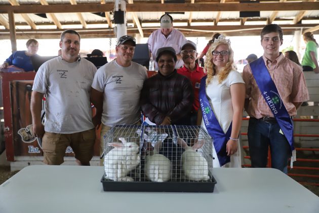 2019 Columbiana County Fair Reserve Champion Rabbits