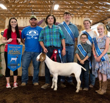 Dawson Vich’s grand champion market goat sold to Dino Piergallini and Sons, Porterfield’s Drive Thru and Border Patrol for a record $3,025.