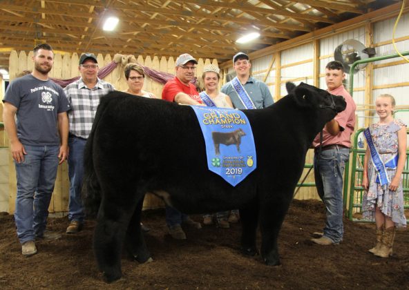 Phillip Kellar’s grand champion market steer sold to D&J Sales and Service and Paris and Washington Insurance for $5 per pound.