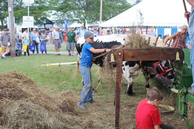 boys-loads-hay