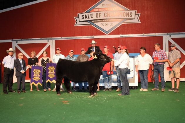 2019 Ohio State Fair Sale Grand Champion Market Beef