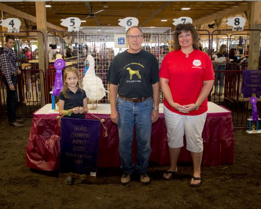 2019 Portage County Fair Grand Champion Goose