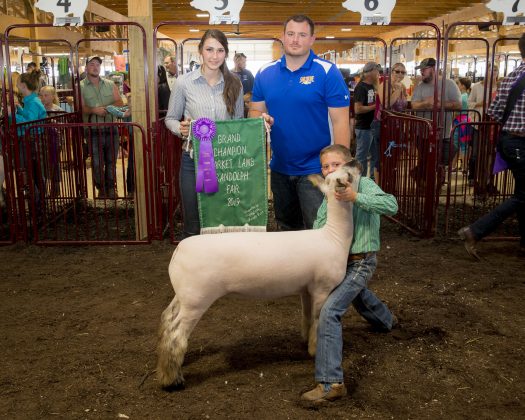 2019 Portage County Fair Grand Champion Lamb