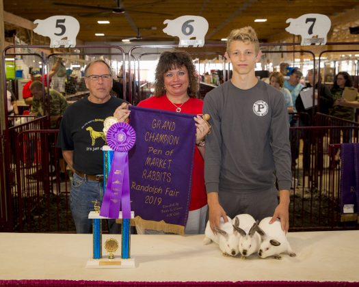 2019 Portage County Fair Grand Champion Rabbits