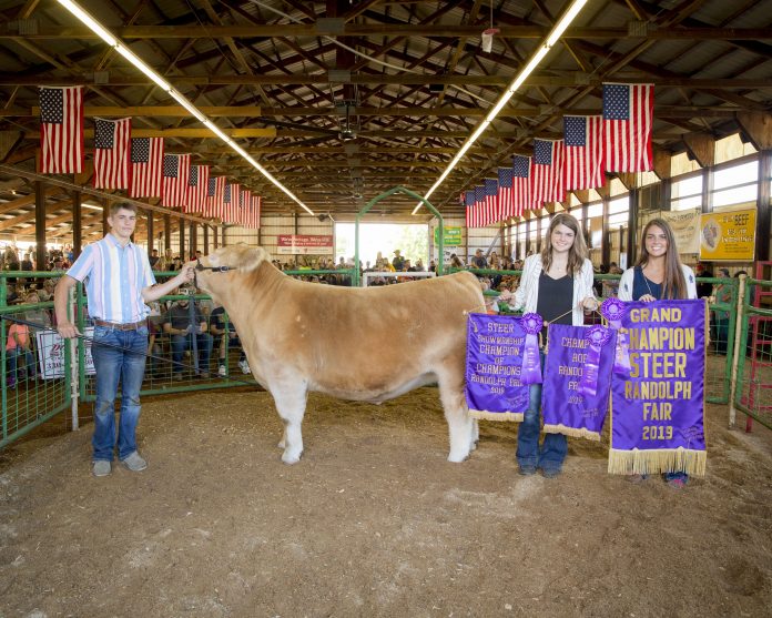 2019 Portage County Fair Grand Champion Steer 2019 Portage County Fair Grand Champion Steer