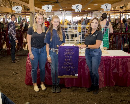 2019 Portage County Fair Reserve Champion Chickens