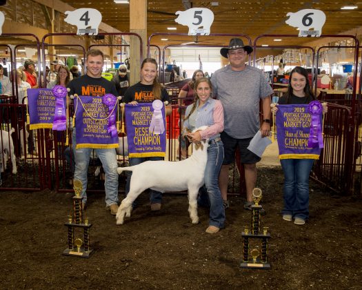 2019 Portage County Fair Reserve Champion Goat
