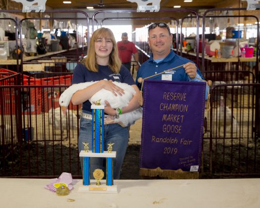 2019 Portage County Fair Reserve Champion Goose