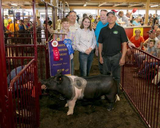 2019 Portage County Fair Reserve Champion Hog