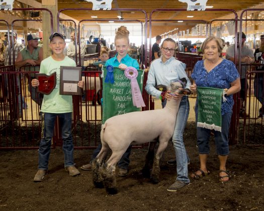 2019 Portage County Fair Reserve Champion Lamb