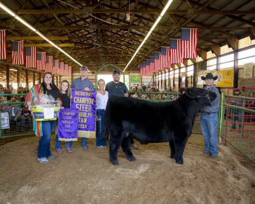 2019 Portage County Fair Reserve Champion Steer