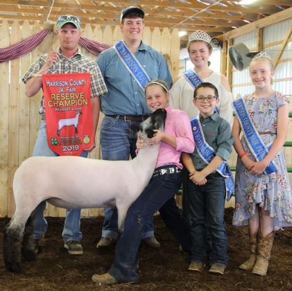 Nora Jackson’s reserve champion lamb sold to Murral Excavating for $7.25 per pound.