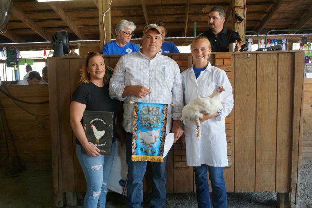 2019 Summit County Fair Grand Champion Chicken