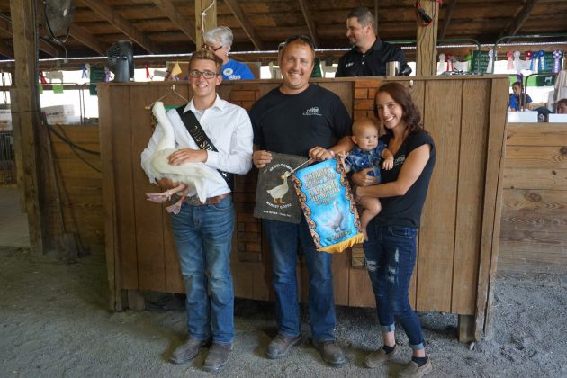 2019 Summit County Fair Grand Champion Goose