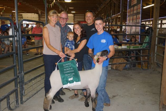 2019 Summit County Fair Reserve Champion Lamb