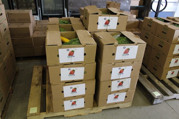 ugly csa boxes