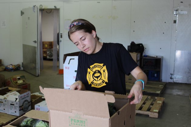 woman packing csa boxes