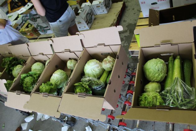 csa boxes on conveyor belt