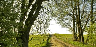 dirt road