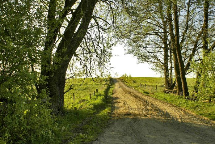 dirt road dirt road