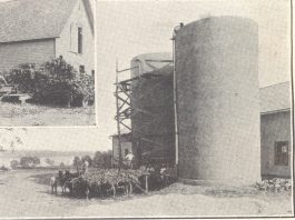 Navy Dairy Farm
