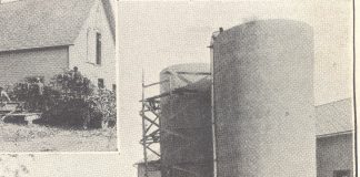 Navy Dairy Farm