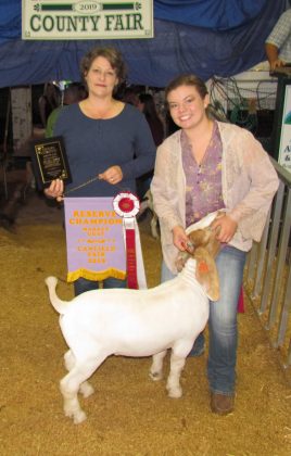 Canfield Fair Reserve Champion Market Goat