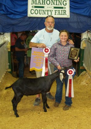 Canfield Fair Reserve Champion Dairy Goat