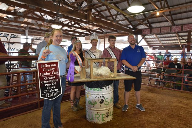 Jefferson County Fair Grand Champion Chickens