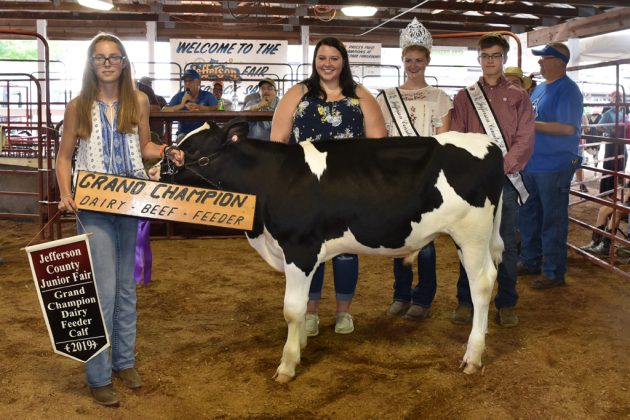Jefferson County Fair Grand Champion Dairy Beef Feeder