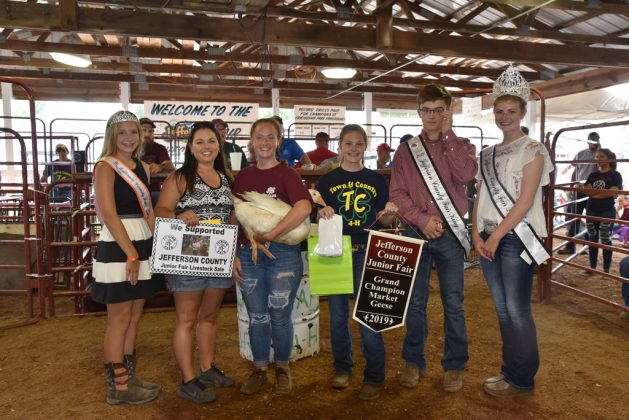 Jefferson County Fair Grand Champion Geese