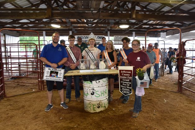 Jefferson County Fair Grand Champion Rabbits