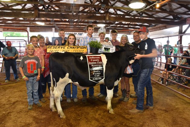 Jefferson County Fair Reserve Champion Dairy Beef Feeder